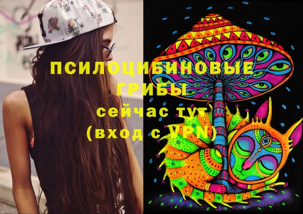 PSILOCYBIN Балабаново